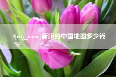 阳春新版的中国地图多少钱