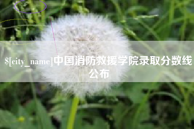 阳春中国消防救援学院录取分数线公布