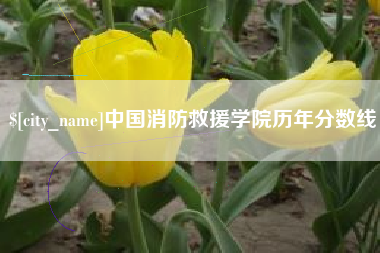 阳春中国消防救援学院历年分数线