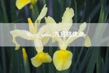 阳春九宫格优点