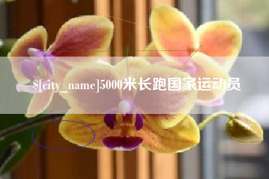 阳春5000米长跑国家运动员