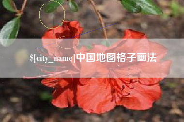 阳春中国地图格子画法