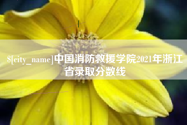 阳春中国消防救援学院2021年浙江省录取分数线