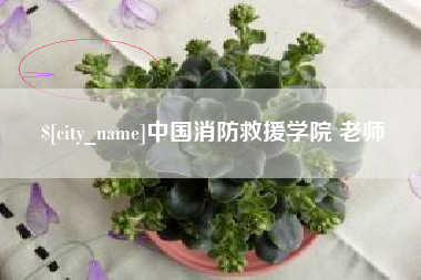 阳春中国消防救援学院 老师