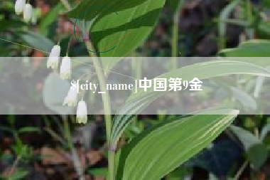阳春中国第9金