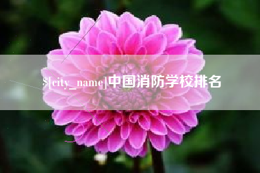 阳春中国消防学校排名