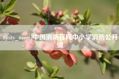 阳春中国消防官网中小学消防公开课