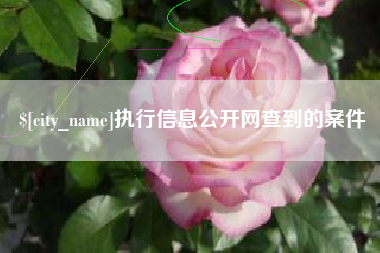 阳春执行信息公开网查到的案件