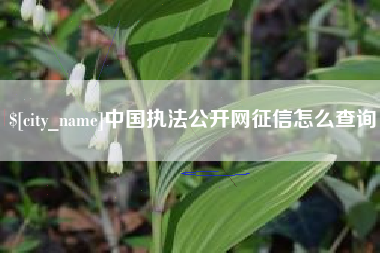 阳春中国执法公开网征信怎么查询