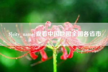 阳春查看中国地图全图各省市