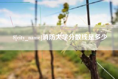 阳春消防大学分数线是多少