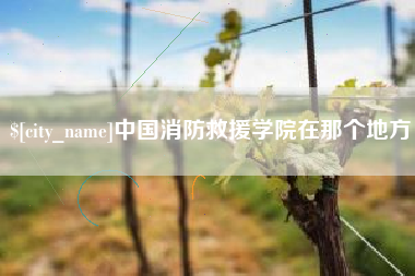 阳春中国消防救援学院在那个地方