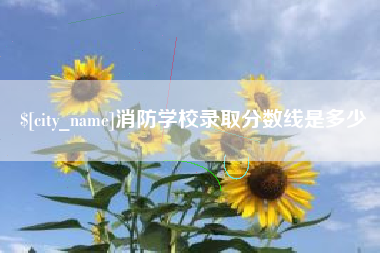 阳春消防学校录取分数线是多少
