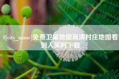 阳春免费卫星地图高清村庄地图看到人实时下载