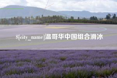 阳春温哥华中国组合滑冰