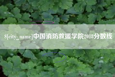 阳春中国消防救援学院2018分数线