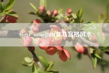 阳春2021年九宫格风水
