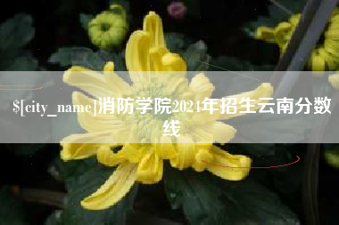 阳春消防学院2024年招生云南分数线