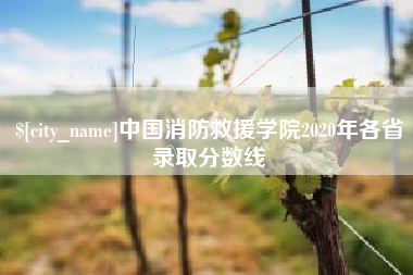 阳春中国消防救援学院2020年各省录取分数线