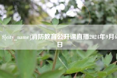 阳春消防教育公开课直播2024年9月6日