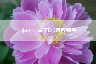 阳春九宫对应数字