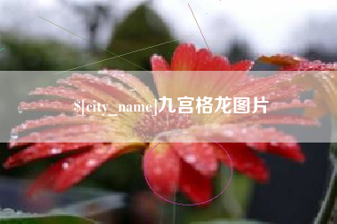 阳春九宫格龙图片