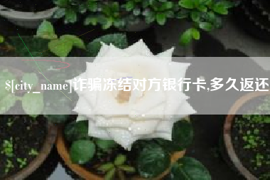 阳春诈骗冻结对方银行卡,多久返还
