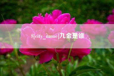 阳春九金是谁