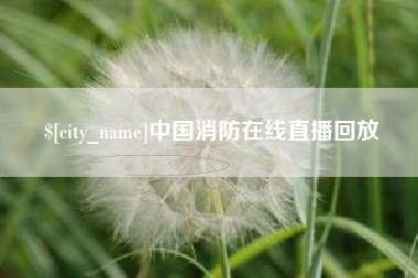 阳春中国消防在线直播回放