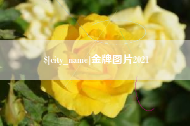 阳春金牌图片2021