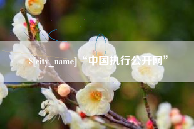 阳春“中国执行公开网”