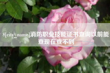 阳春消防职业技能证书查询以前能查现在查不到
