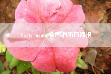 阳春全国消防日海报