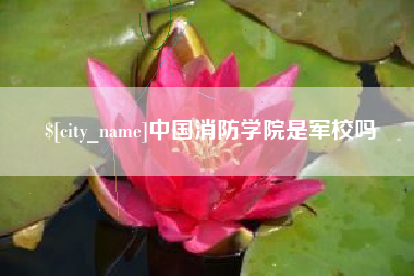 阳春中国消防学院是军校吗