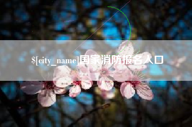 阳春国家消防报名入口