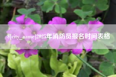 阳春2025年消防员报名时间表格