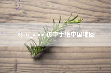 阳春初中手绘中国地图