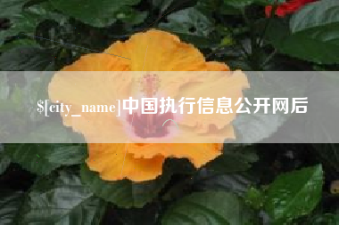 阳春中国执行信息公开网后