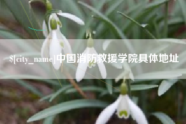 阳春中国消防救援学院具体地址