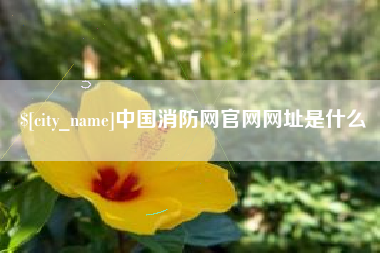 阳春中国消防网官网网址是什么