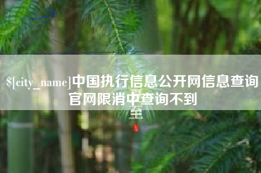 阳春中国执行信息公开网信息查询官网限消中查询不到