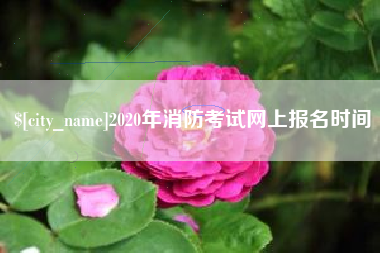 阳春2020年消防考试网上报名时间