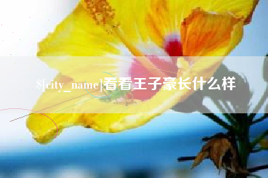 阳春看看王子豪长什么样