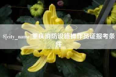 阳春重庆消防设施操作员证报考条件