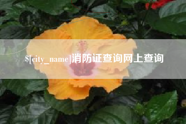 阳春消防证查询网上查询