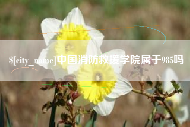 阳春中国消防救援学院属于985吗