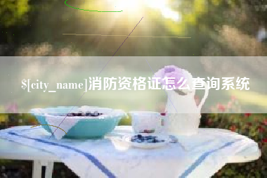 阳春消防资格证怎么查询系统