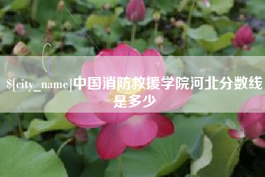 阳春中国消防救援学院河北分数线是多少