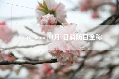 阳春11月9日消防日全称