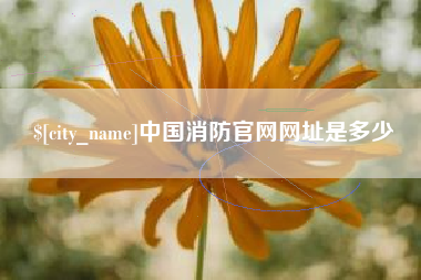 阳春中国消防官网网址是多少